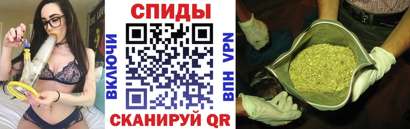 дарнет шоп  МЕГА ссылки  БУТИРАТ GHB  Карачев 